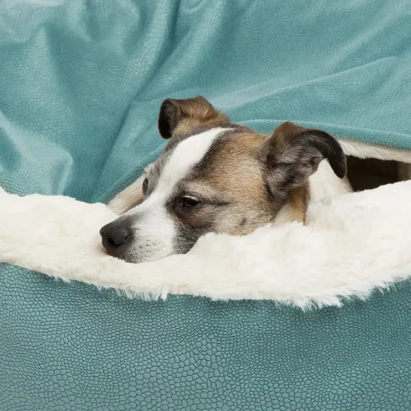 The Cozy Critter Hooded Orthopaedic Dog/Cat Bed