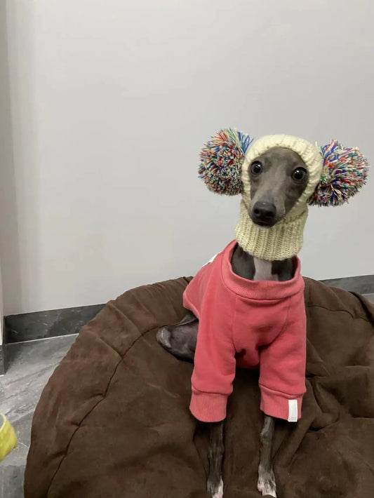 Double the Fun Pom Pom Dog Hat