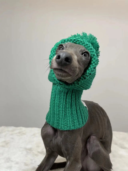 Be Seen in Green Dog Hat