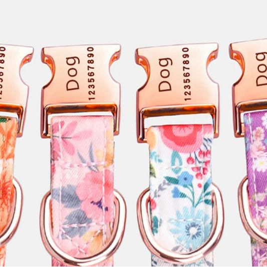 Lilly Loves Flowers - Personalised Dog Collar (Free Engraved ID)