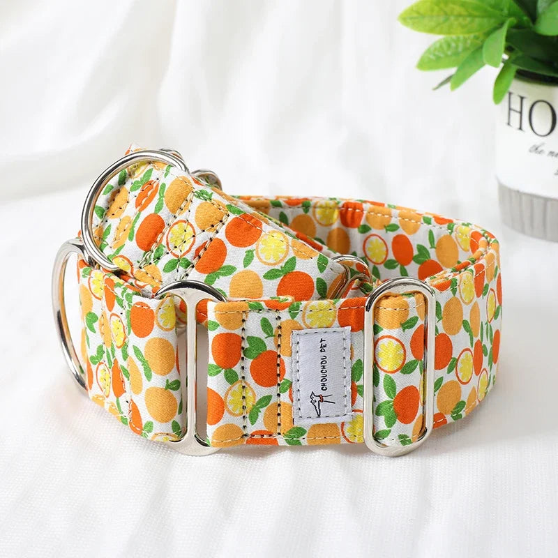Martingale Dog Collar