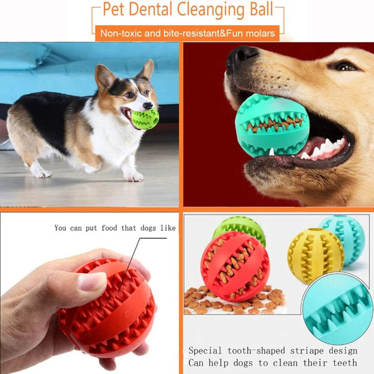 Boredom Buster Ball - Dog / Cat