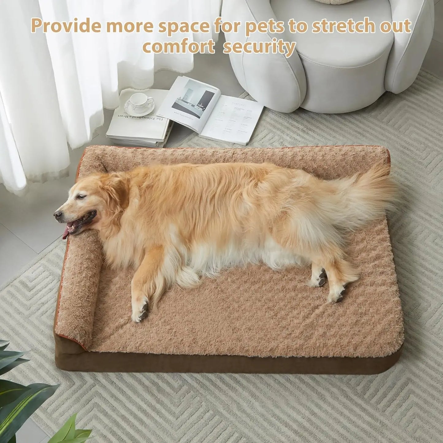 Lounge Lizard - Orthopaedic Dog Bed