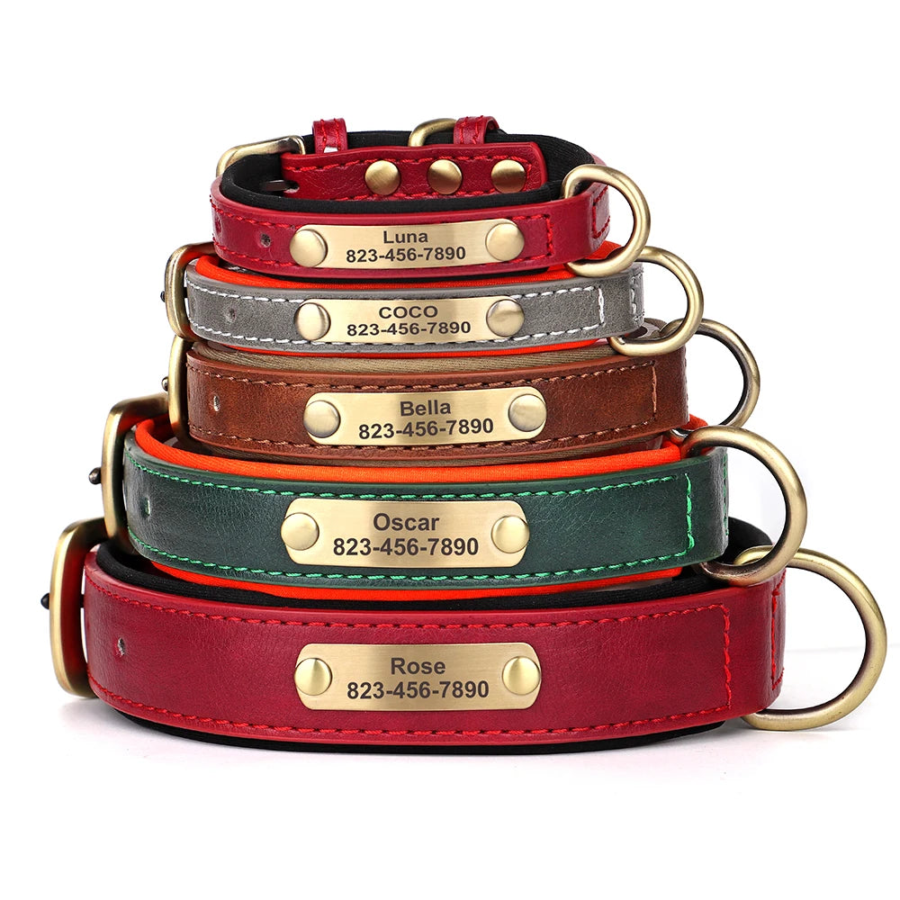 Classic Dog Collar - Free Engraving + Classic Comfort Lining