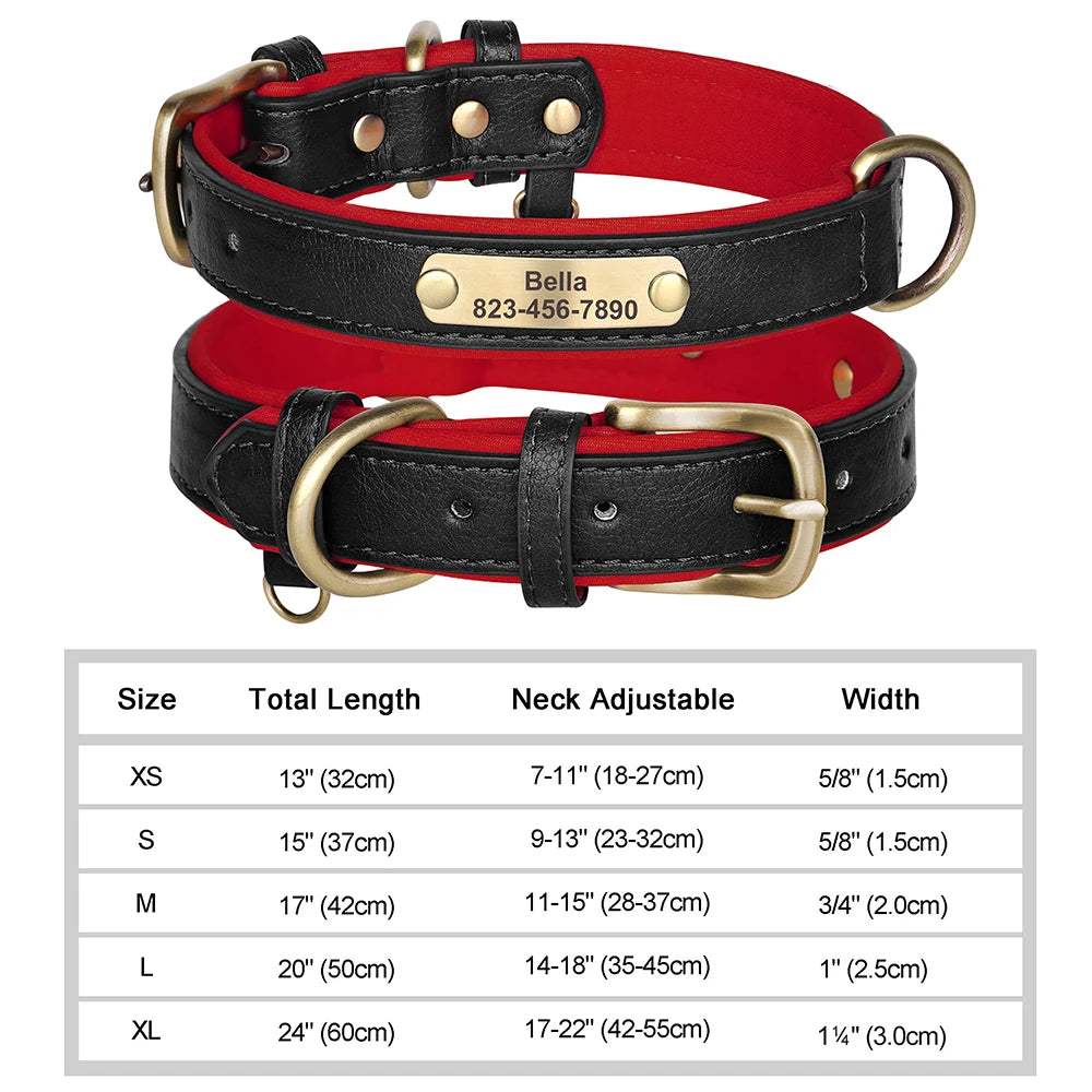 Classic Dog Collar - Free Engraving + Classic Comfort Lining