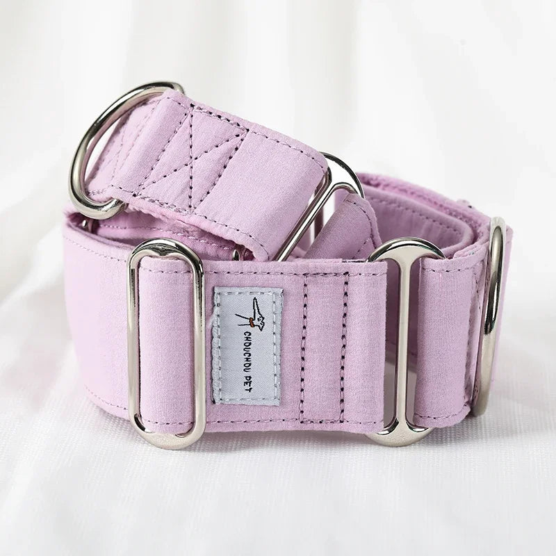 Martingale Dog Collar