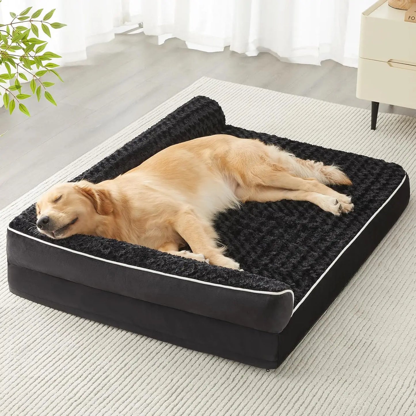 Lounge Lizard - Orthopaedic Dog Bed