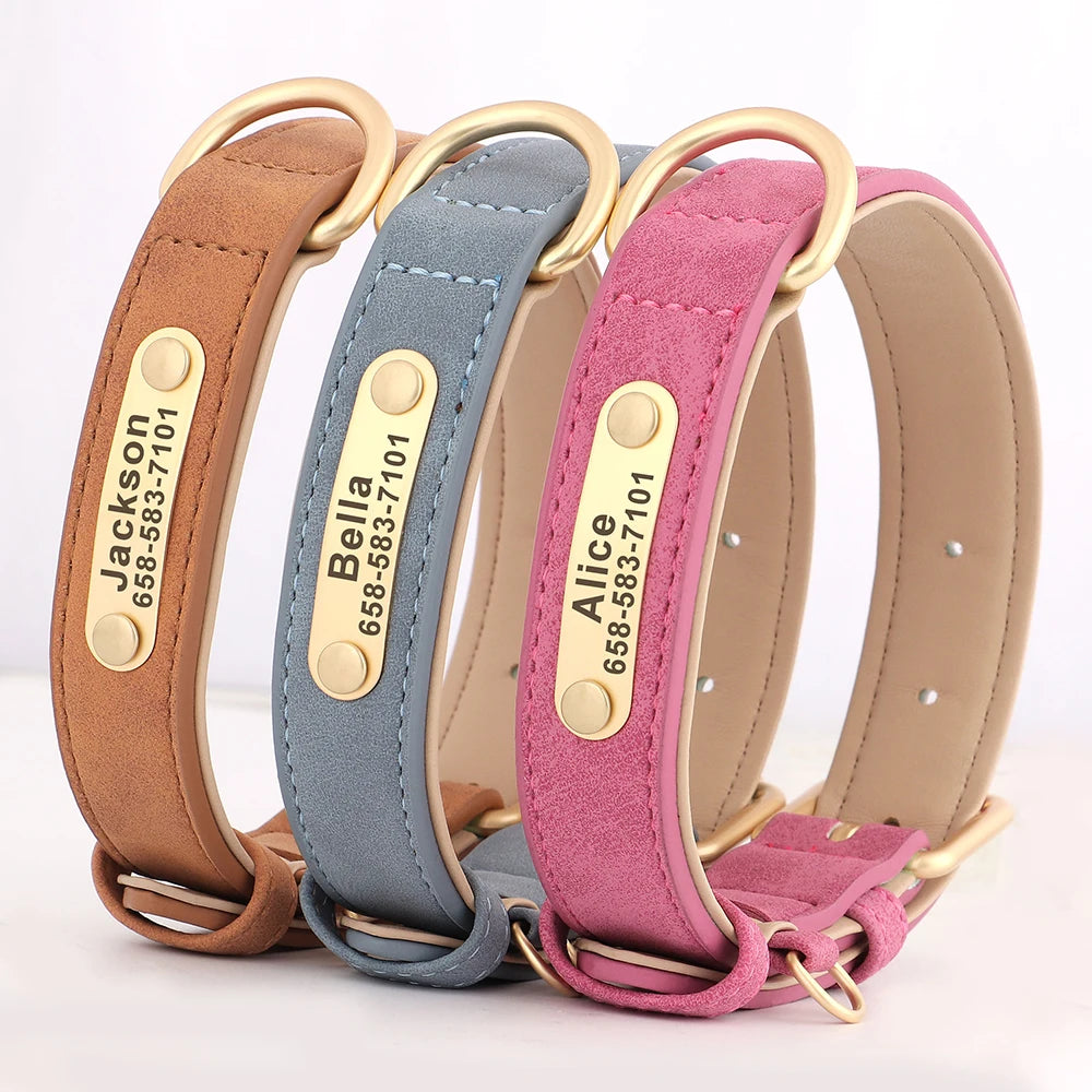 Classic Dog Collar - Free Engraving + Classic Comfort Lining