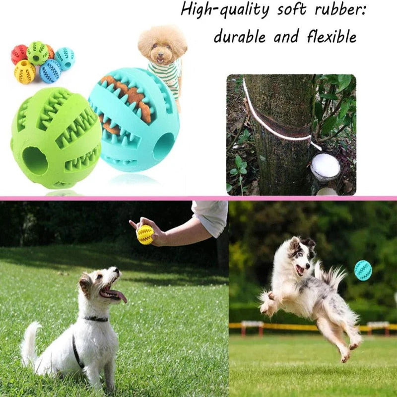 Boredom Buster Ball - Dog / Cat