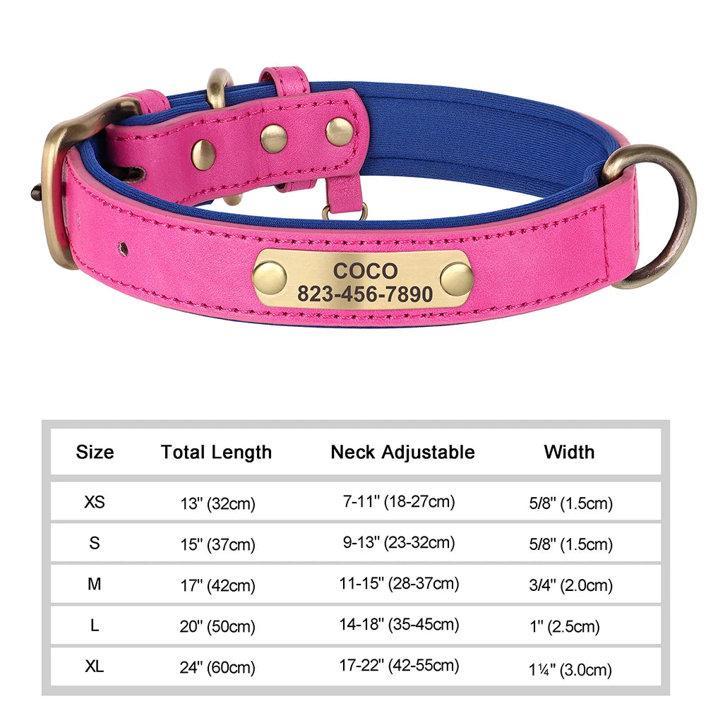 Classic Dog Collar - Free Engraving + Classic Comfort Lining