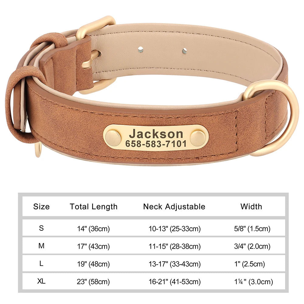 Classic Dog Collar - Free Engraving + Classic Comfort Lining