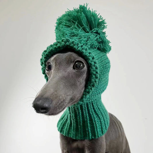 Be Seen in Green Dog Hat