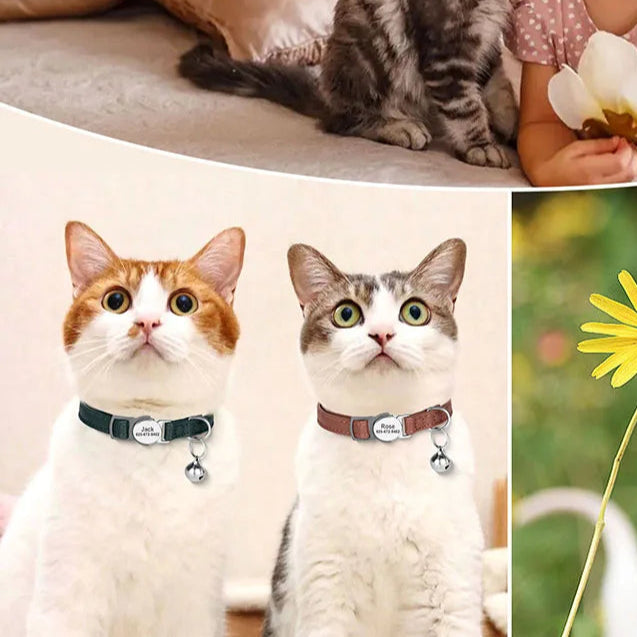 Bella Cat Collar - Free Engraving