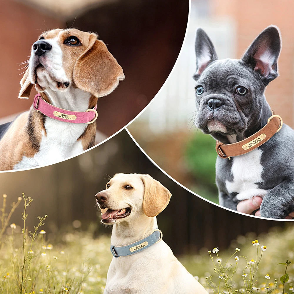 Classic Dog Collar - Free Engraving + Classic Comfort Lining