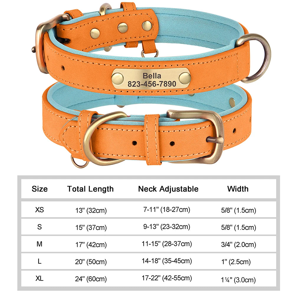 Classic Dog Collar - Free Engraving + Classic Comfort Lining