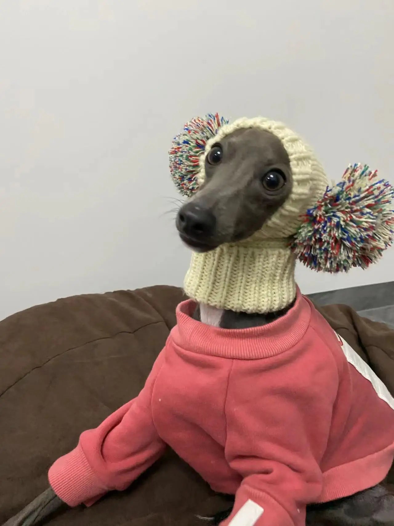 Double the Fun Pom Pom Dog Hat