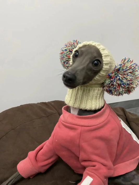 Double the Fun Pom Pom Dog Hat