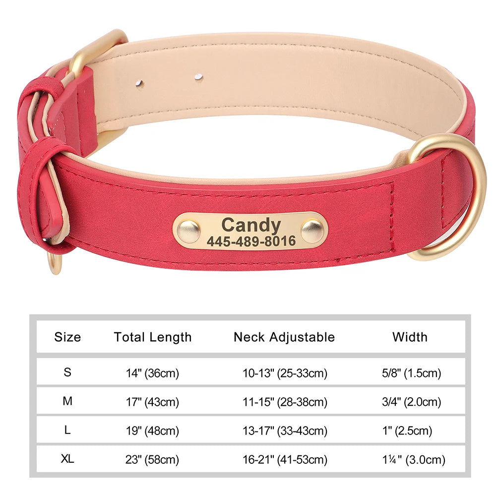 Classic Dog Collar - Free Engraving + Classic Comfort Lining