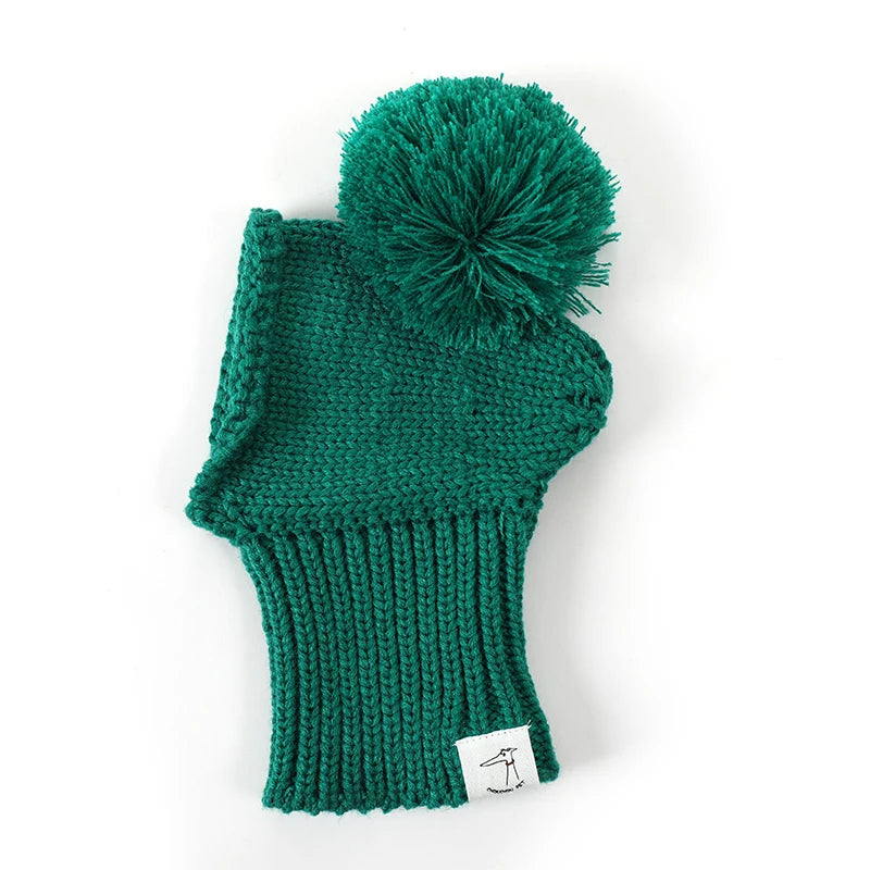 Be Seen in Green Dog Hat