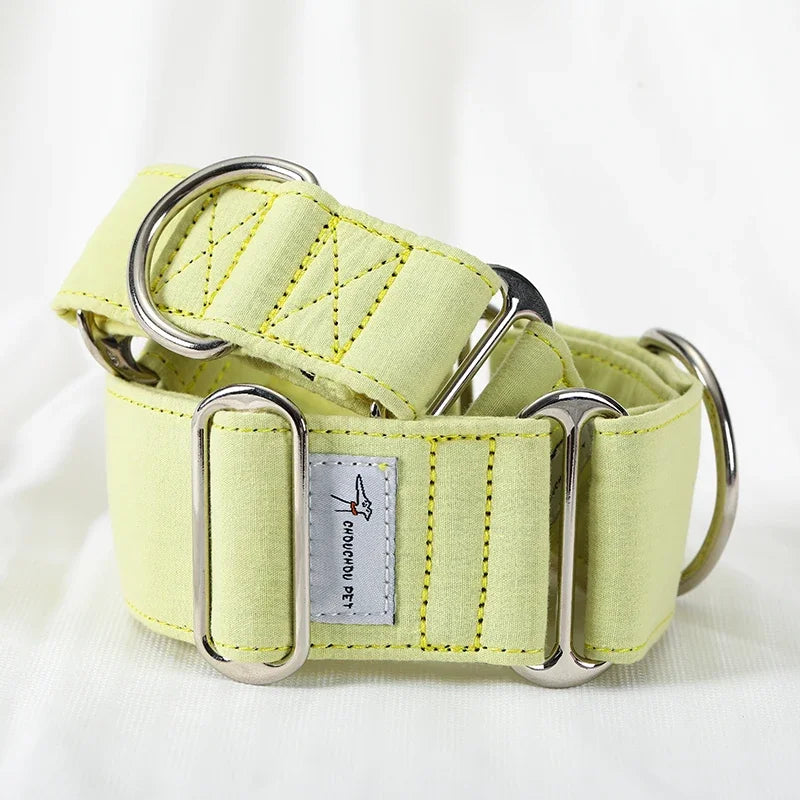 Martingale Dog Collar