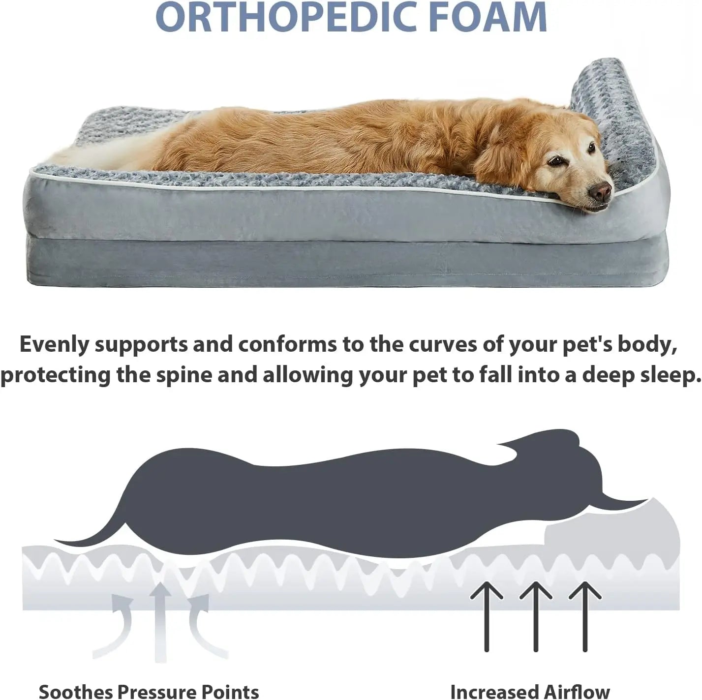 Lounge Lizard - Orthopaedic Dog Bed
