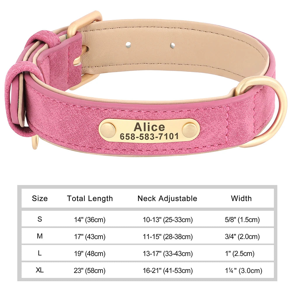 Classic Dog Collar - Free Engraving + Classic Comfort Lining