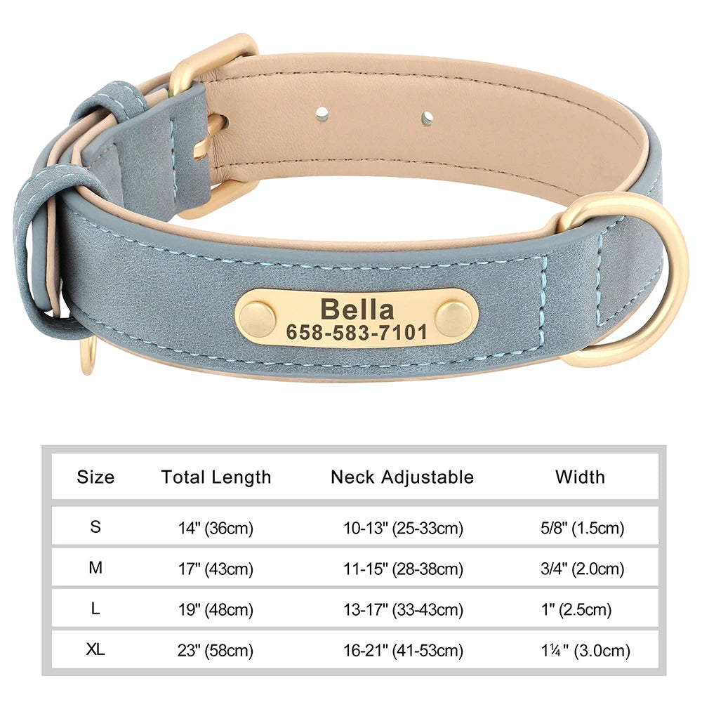 Classic Dog Collar - Free Engraving + Classic Comfort Lining