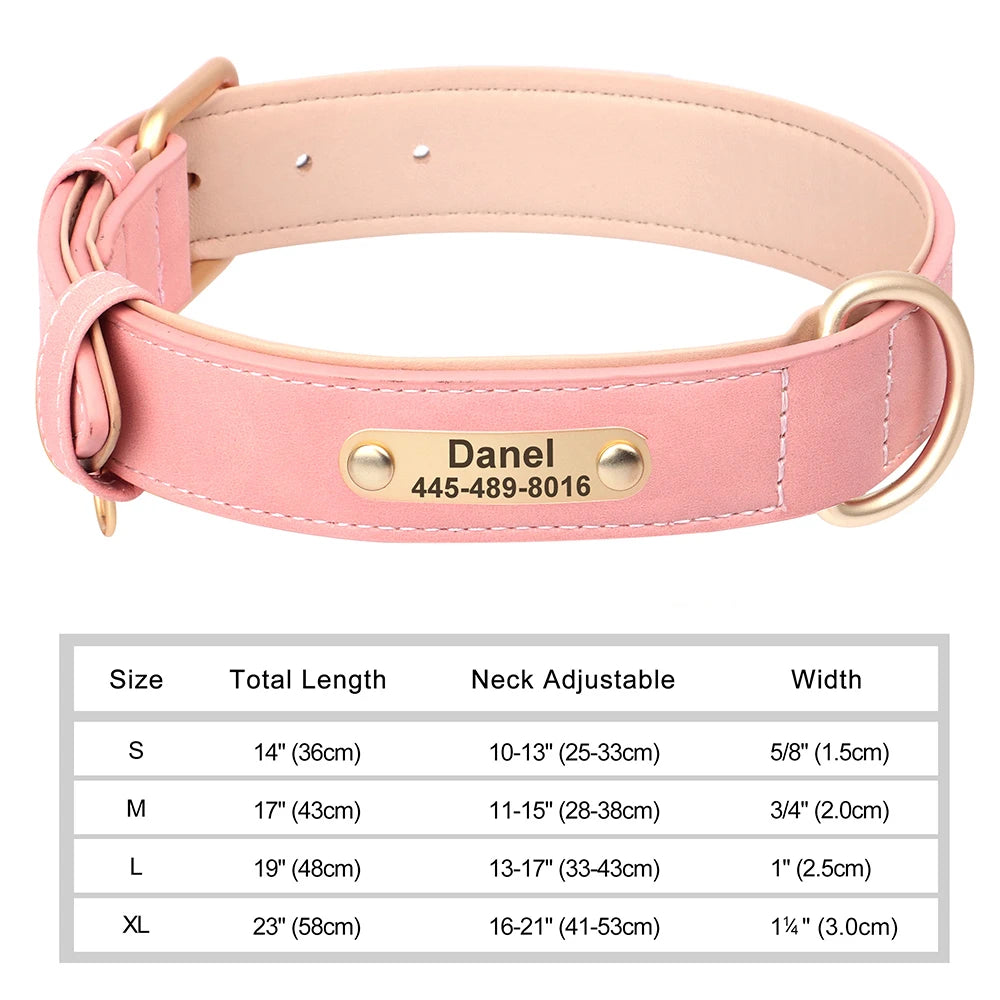 Classic Dog Collar - Free Engraving + Classic Comfort Lining